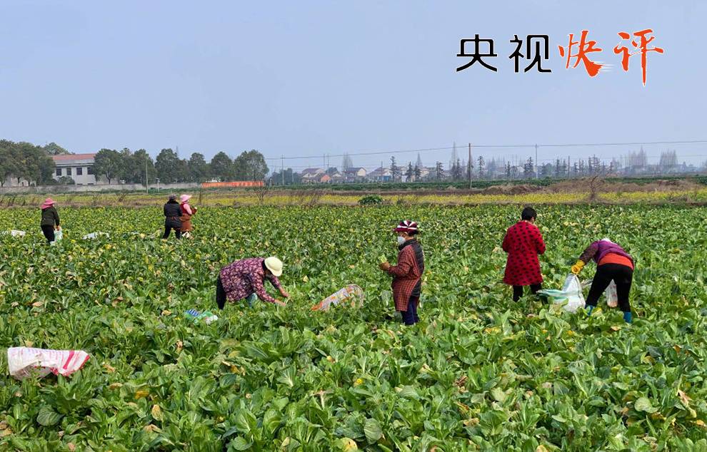 央视快评 | 建立与疫情防控相适应的经济社会运行秩序