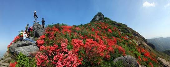 今年内湖南南岳衡山景区将对医护免费，疫情后对湖北游客半价